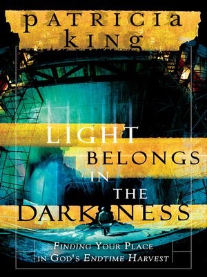 cover image of Light Belongs in the Darkness